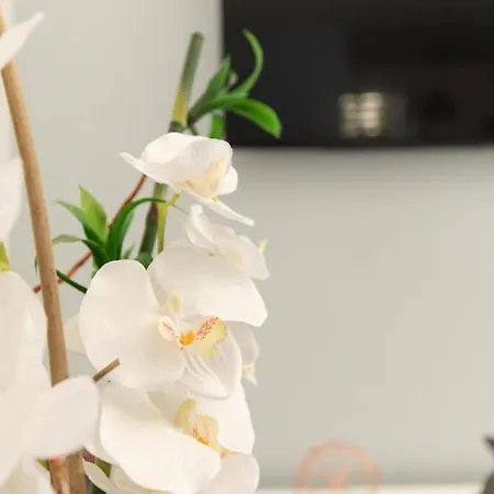 Charme Cosy Confort - Thermes Apartamento *
